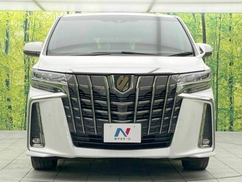 ALPHARD-15