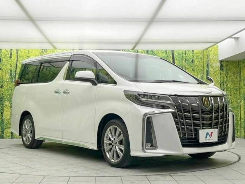 ALPHARD-17