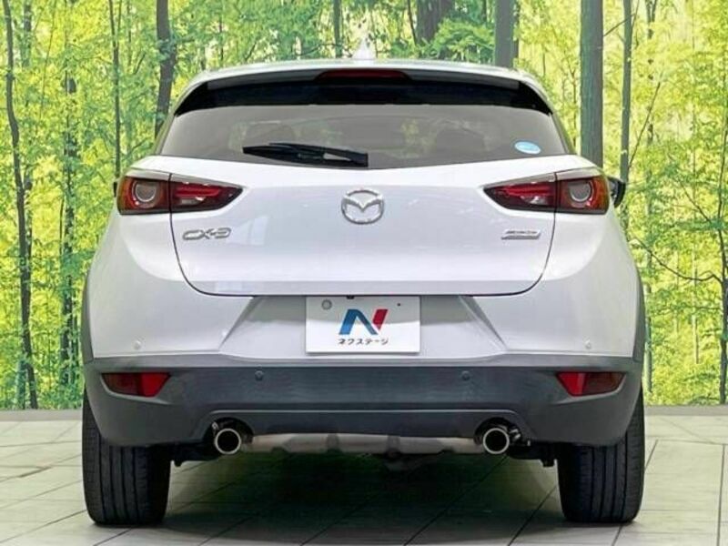 CX-3-15