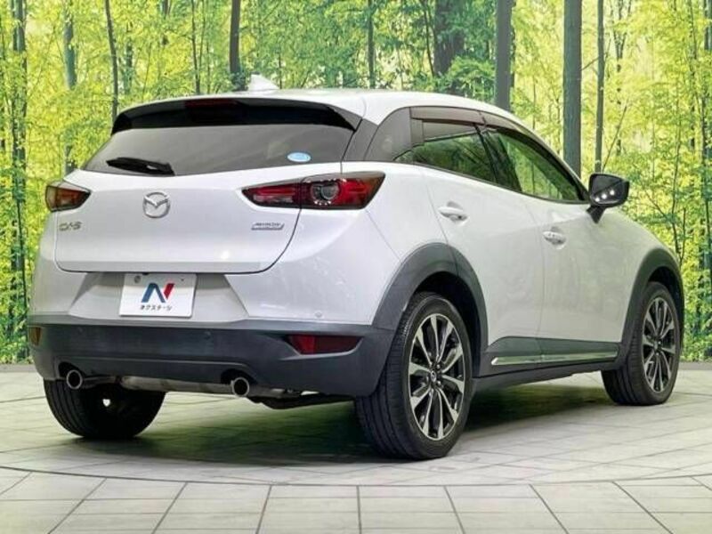 CX-3-17