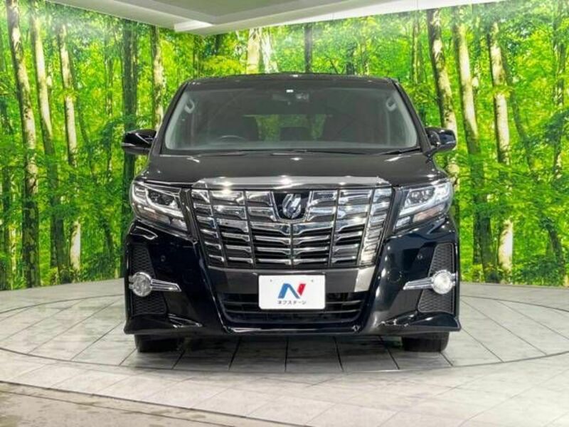 ALPHARD-15