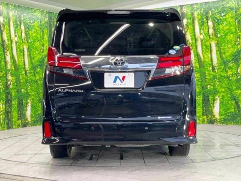 ALPHARD-16