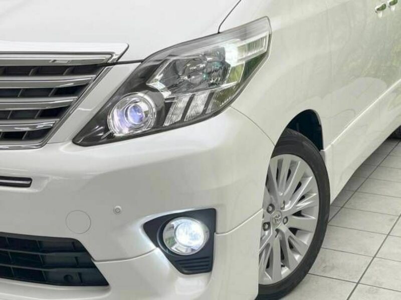 ALPHARD-13