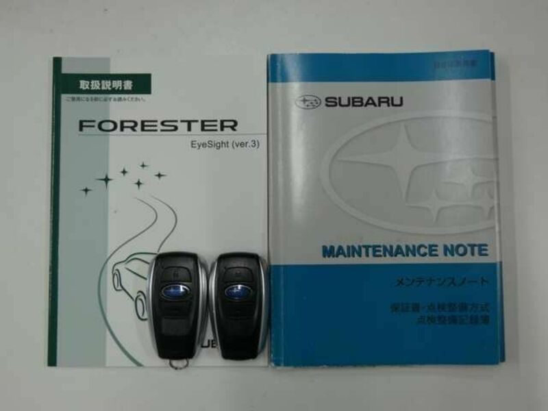 FORESTER-28