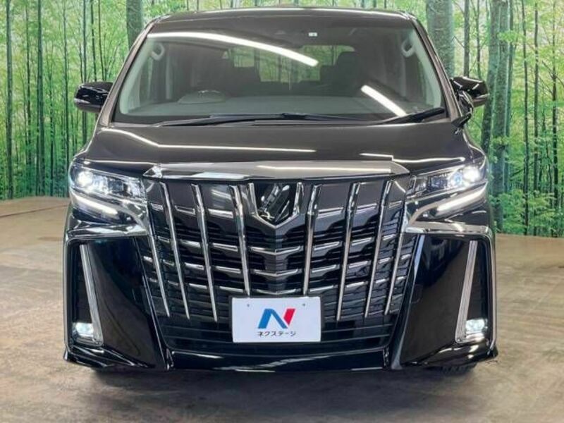 ALPHARD-15