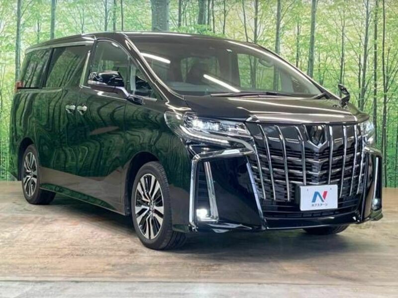 ALPHARD-17