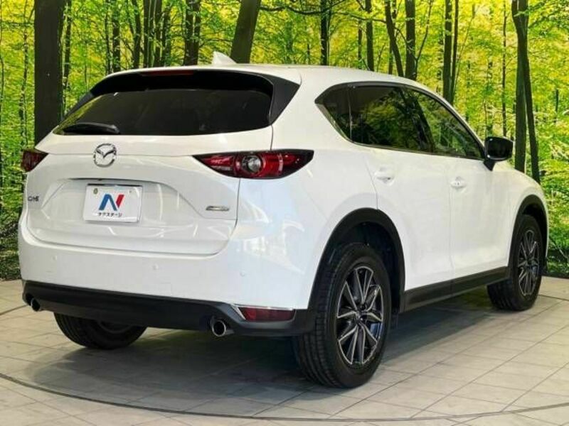 CX-5-17