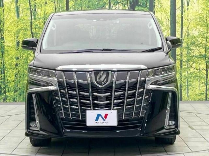 ALPHARD-15