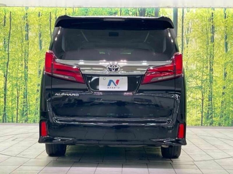 ALPHARD-16