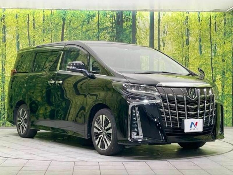 ALPHARD-17