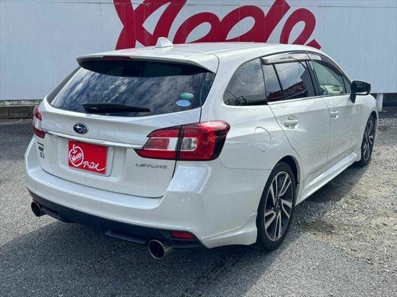 LEVORG-13