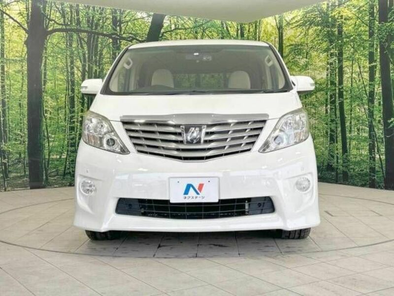 ALPHARD-15