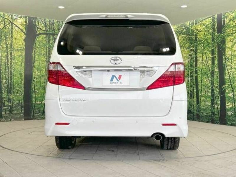 ALPHARD-16