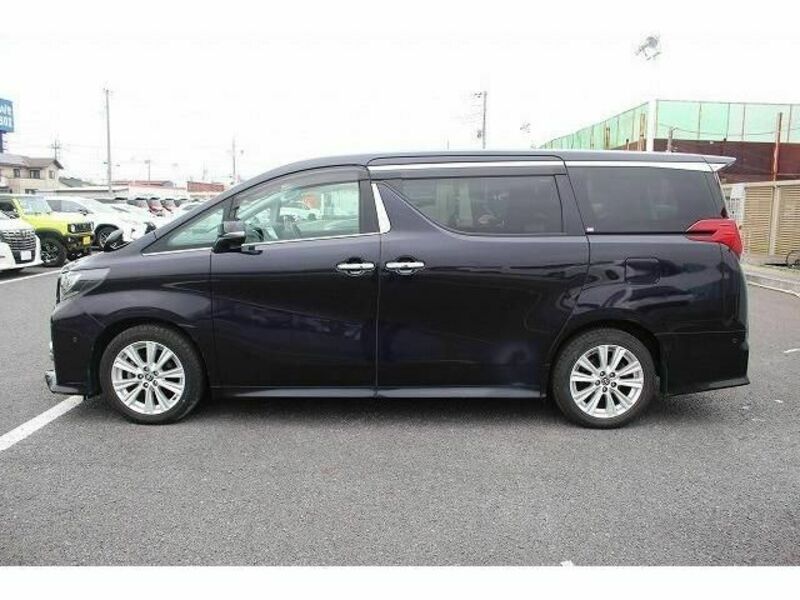 ALPHARD-8