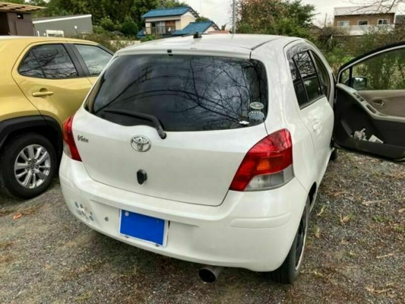 VITZ-3