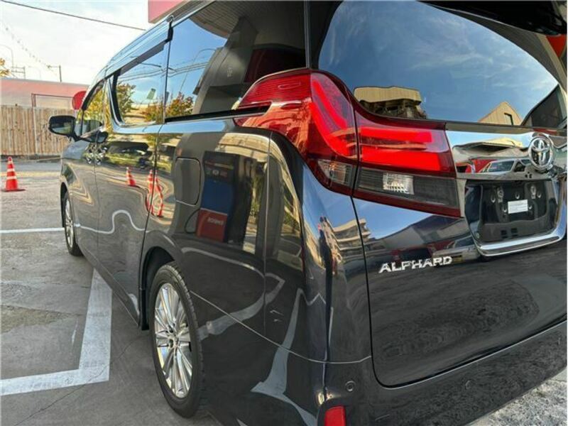 ALPHARD-7