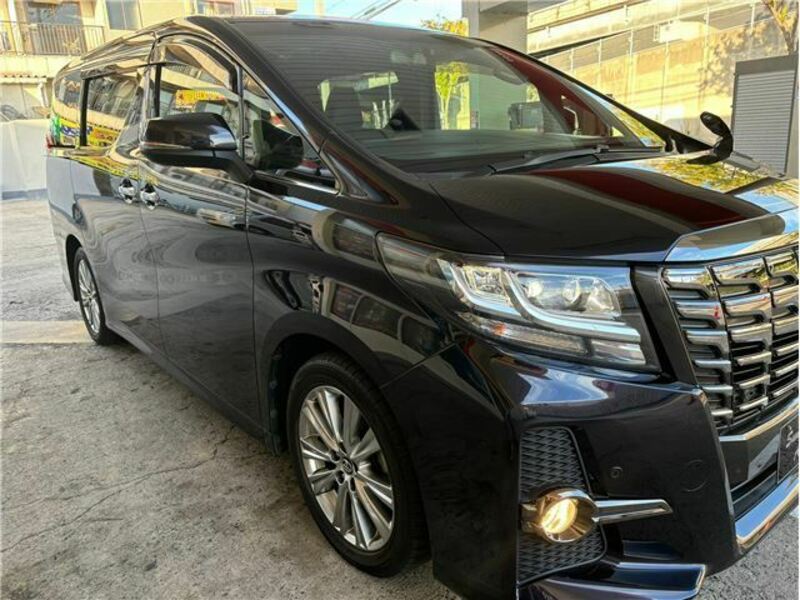 ALPHARD-10