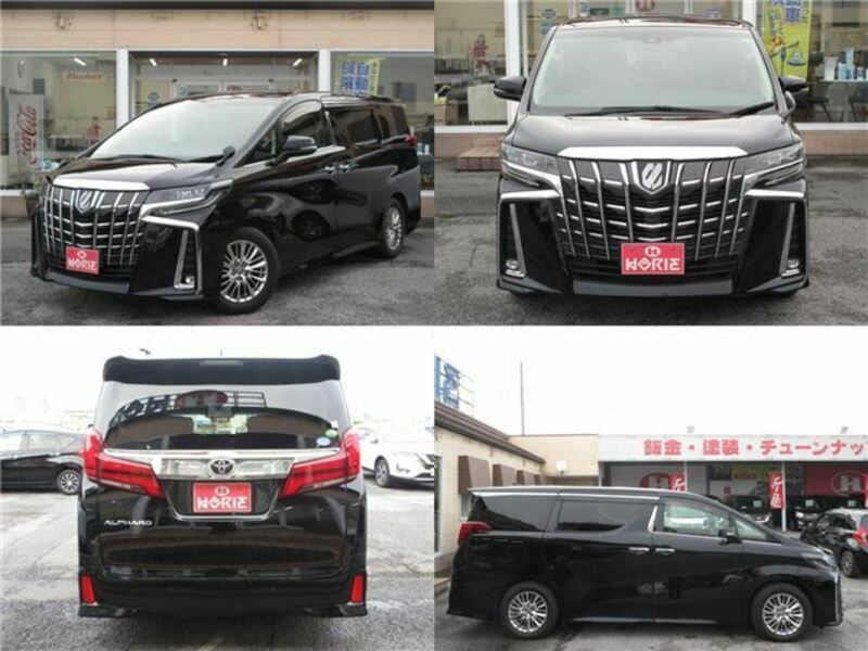 ALPHARD-2