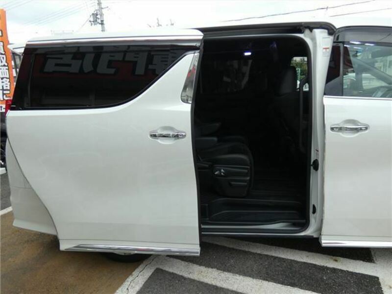 ALPHARD-19