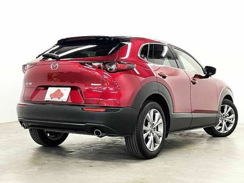 CX-30-2