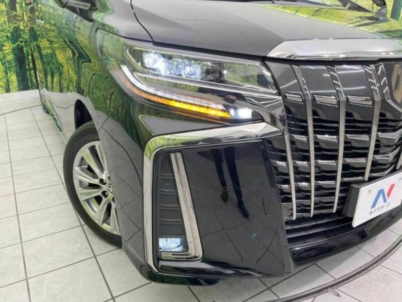 ALPHARD-13