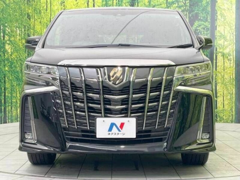 ALPHARD-15