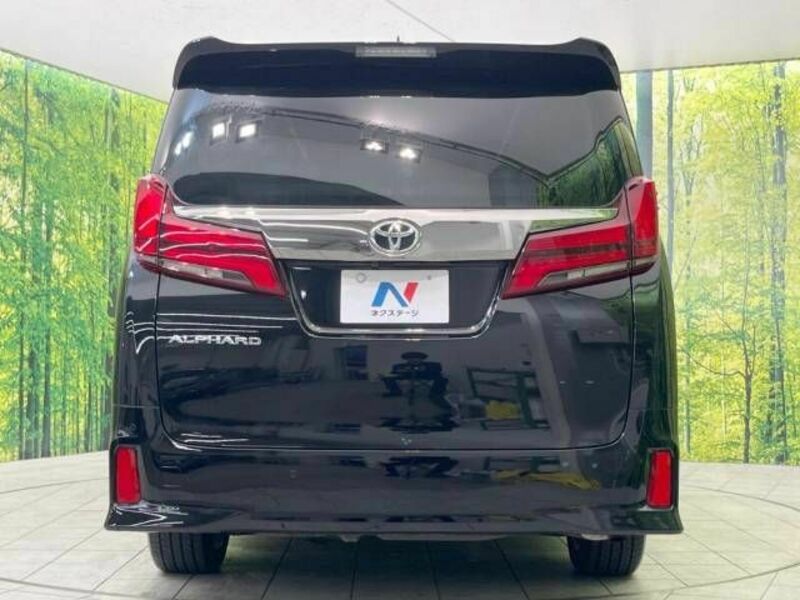 ALPHARD-16