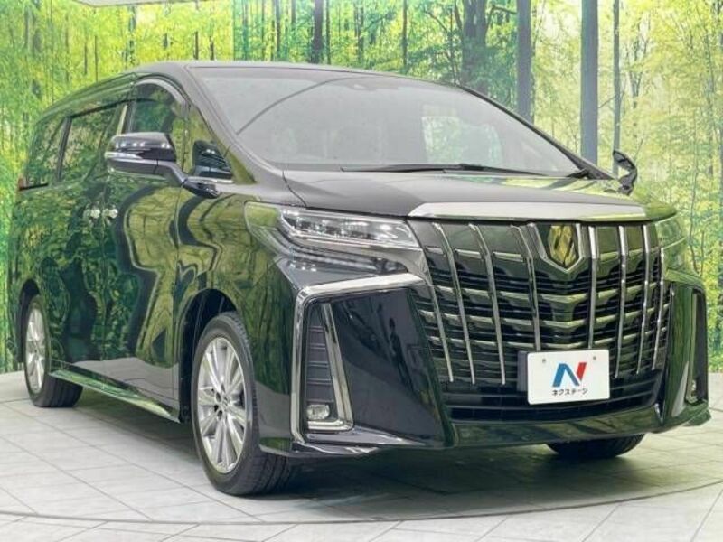 ALPHARD-17