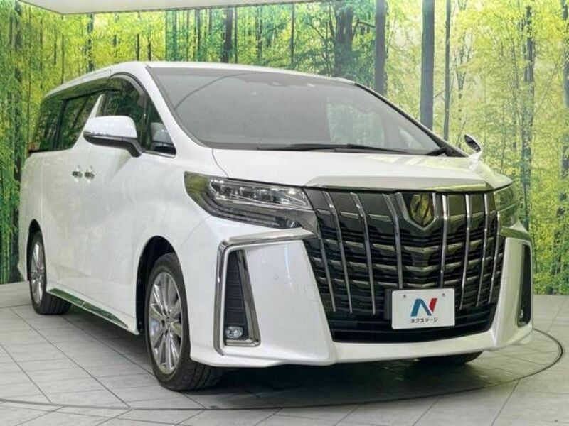 ALPHARD-17