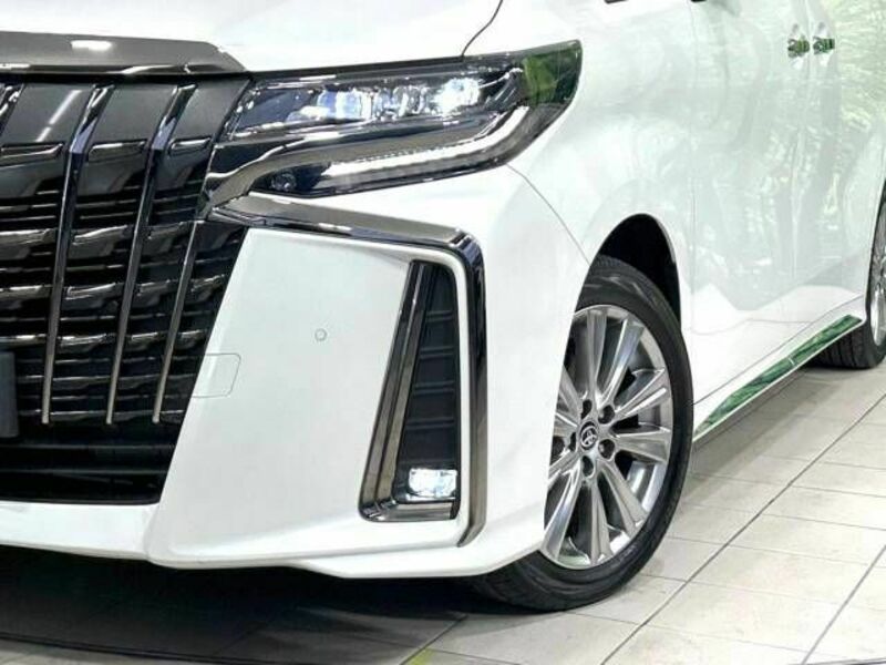 ALPHARD-13