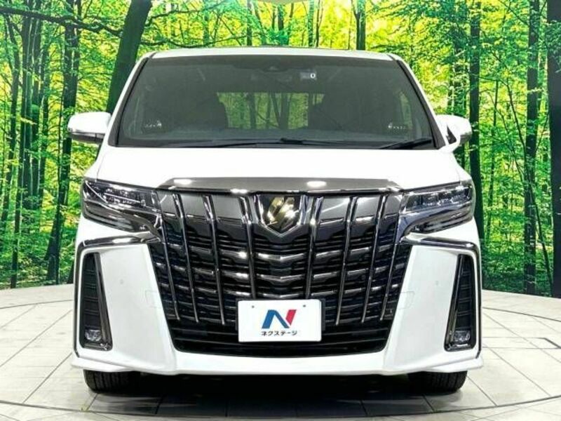 ALPHARD-15