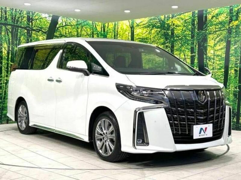 ALPHARD-17