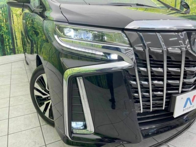 ALPHARD-14