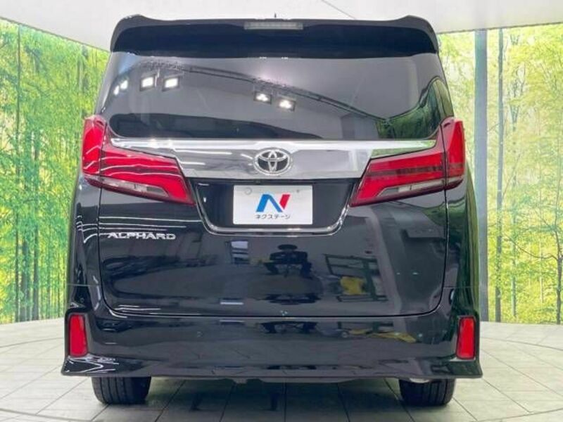 ALPHARD-17