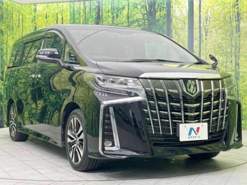 ALPHARD-18