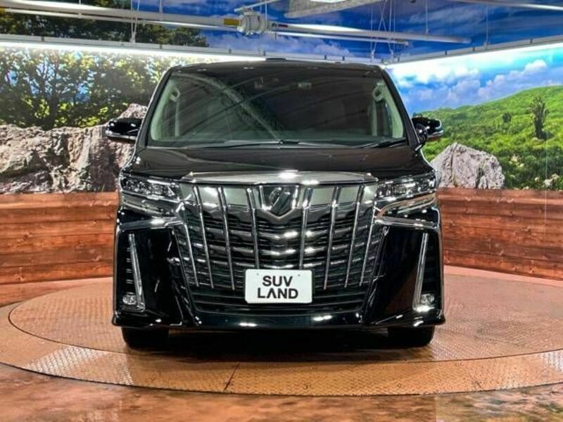 ALPHARD-15