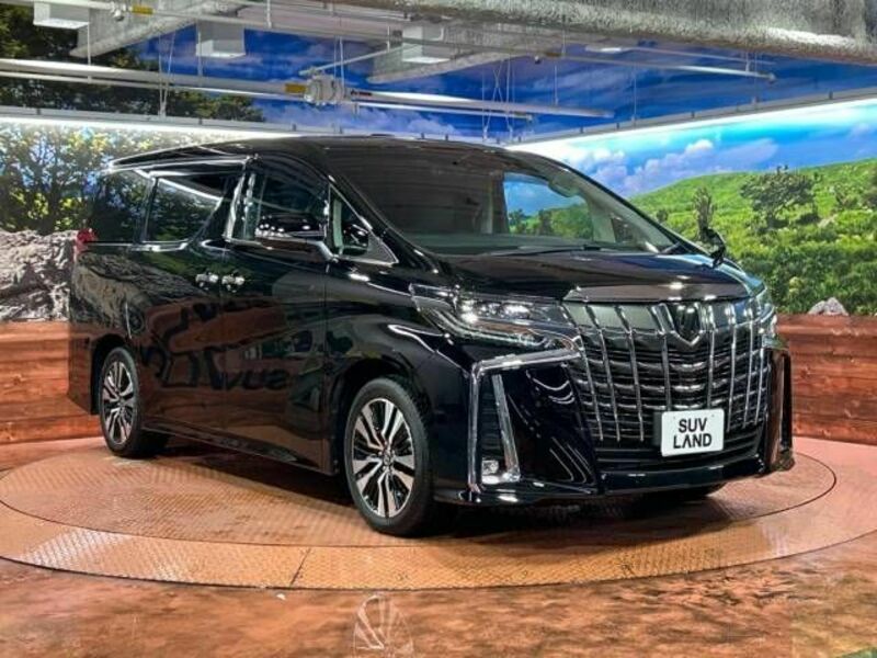 ALPHARD-17