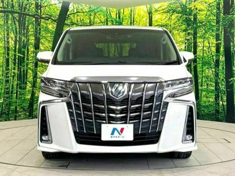 ALPHARD-15