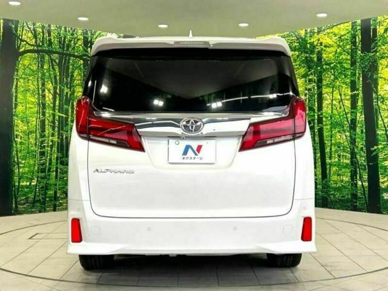 ALPHARD-16