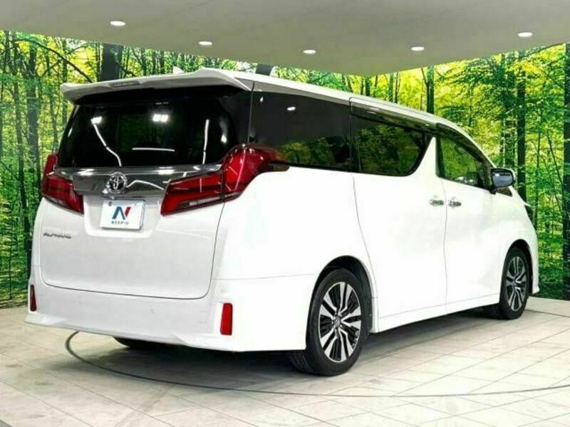 ALPHARD-18