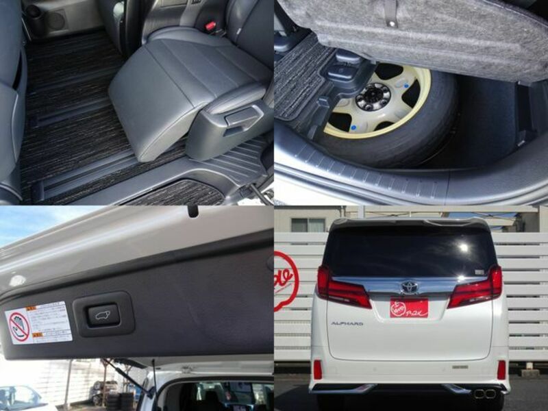 ALPHARD-25