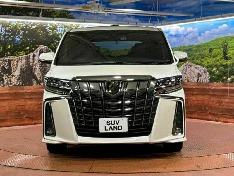 ALPHARD-14