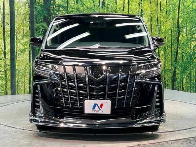 ALPHARD-15