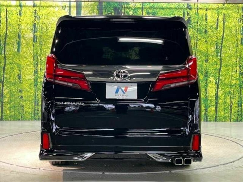 ALPHARD-16