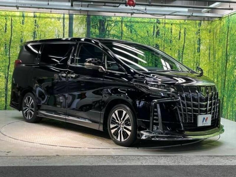 ALPHARD-17