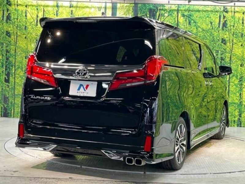 ALPHARD-18