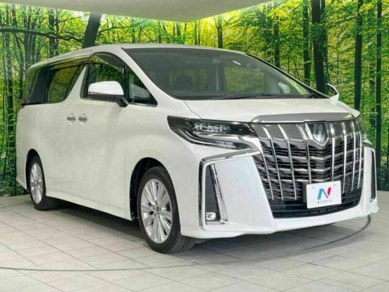 ALPHARD-17