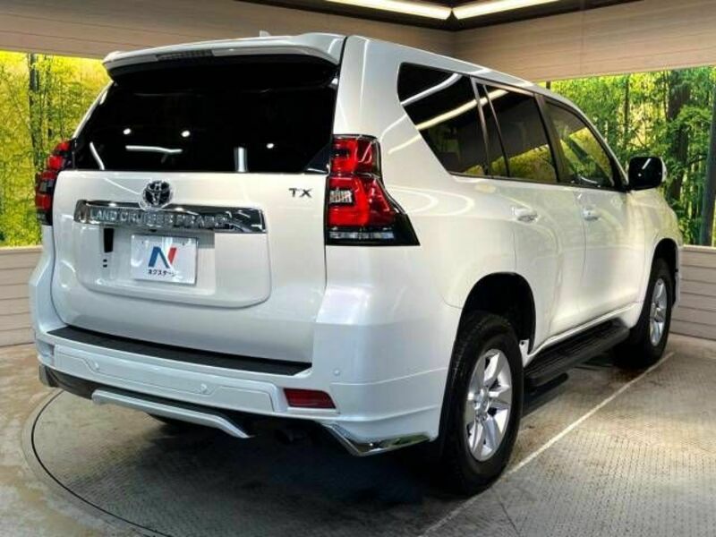 LAND CRUISER PRADO-18