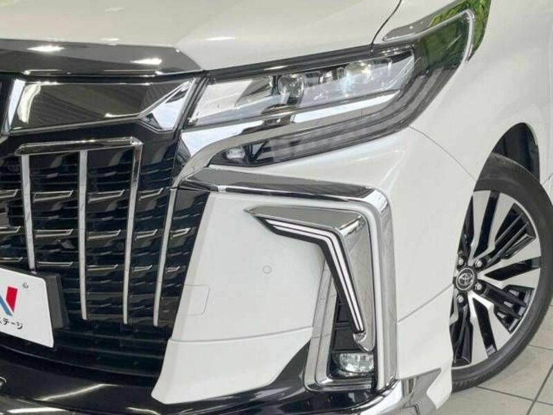 ALPHARD-13