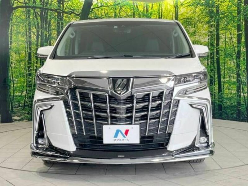 ALPHARD-15